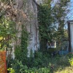 207 Butler St. in Macon