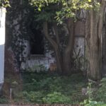 207 Butler St. in Macon
